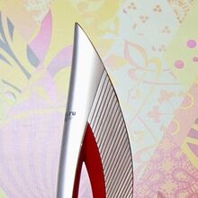 XXII Winter Olympic games in Sochi in 2014, 