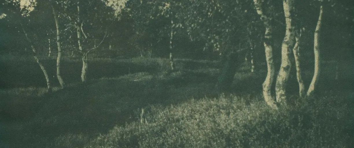 21. 6. 2025 – Tvůrčí dílna historické fotografie: Gumotisk