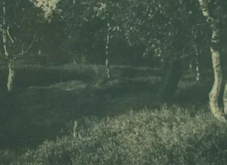 21. 6. 2025 – Tvůrčí dílna historické fotografie: Gumotisk