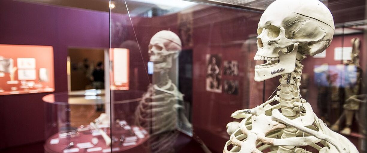 Program pro školy ve výstavě Člověk v náhradách aneb technika slouží medicíně 