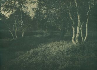 Tvůrčí fotografická dílna historické fotografie: Gumotisk