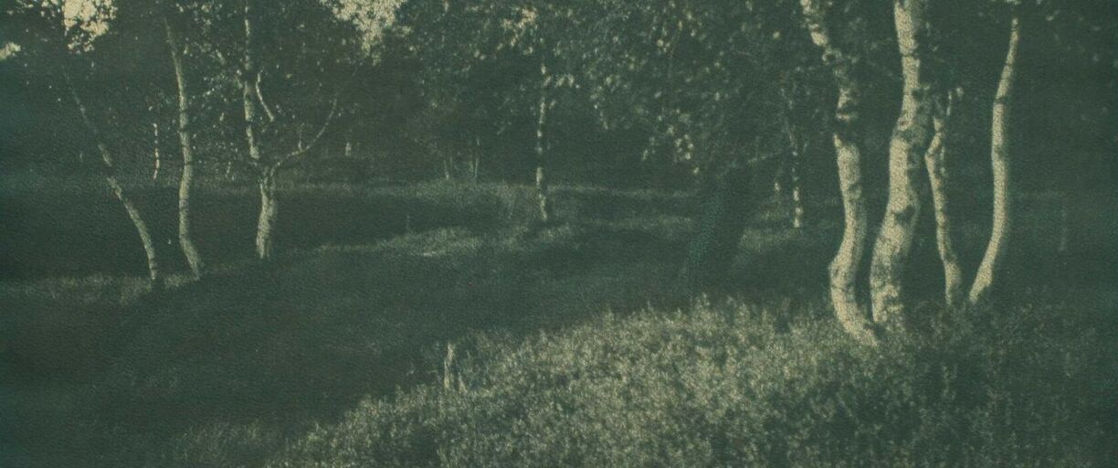 Tvůrčí fotografické dílny