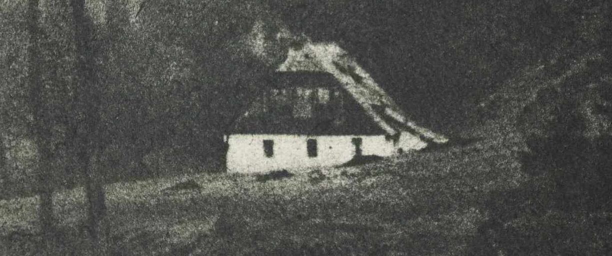 Fotografická tvůrčí dílna: olejotisk 