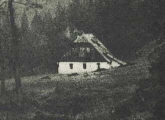 Fotografická tvůrčí dílna: olejotisk 